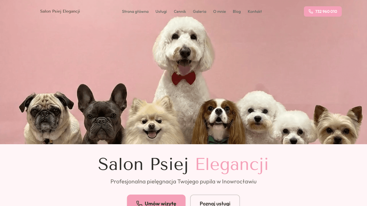 Strona internetowa dla salonu groomerskiego